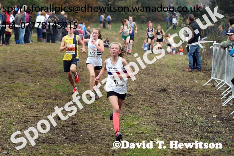 Girls under-13s, National Cross Country Relays, Berry Park, Mansfield. Photo: David T. Hewitson/Sports for All Pics